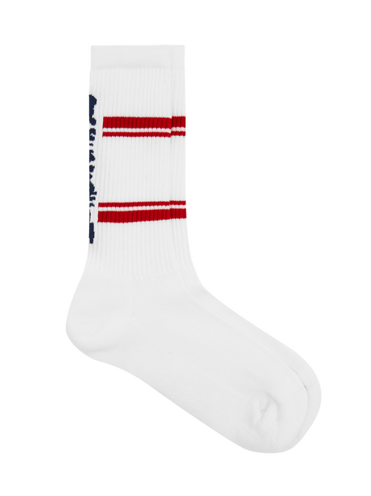 Ice-Cream Socks Running Dog Blue